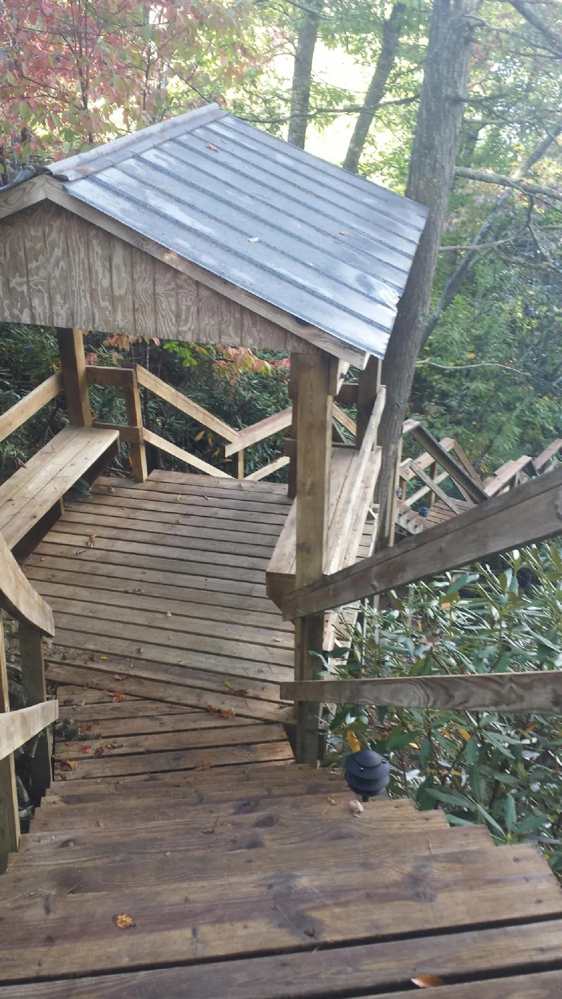 Metal roofed shelter over wooden steps on a wooded walkway — Skylight Repair & Installation work by our crew in Rocky