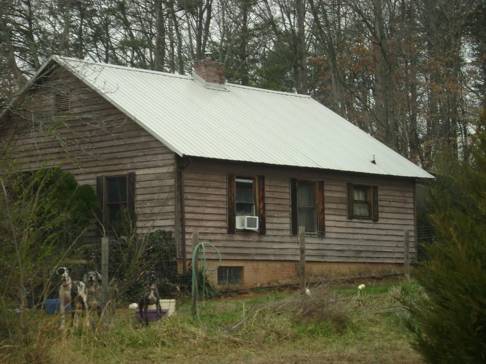 White metal roof on an old wood sided farmhouse, from a Asphalt Shingle Roof Repair job in Rocky